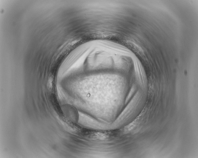 X0000088370166200706121129