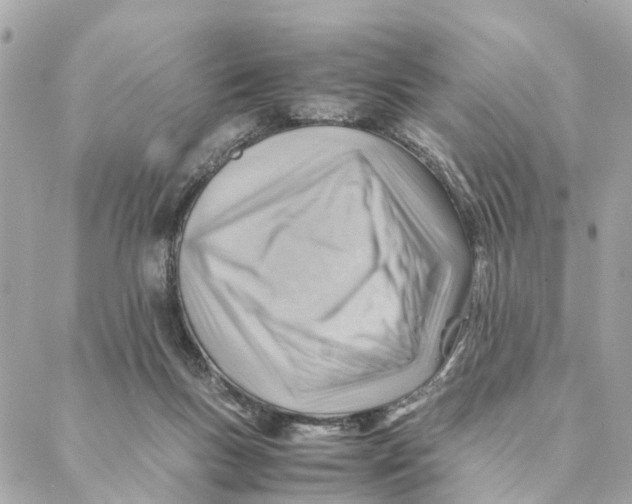 X0000088370167200706121129