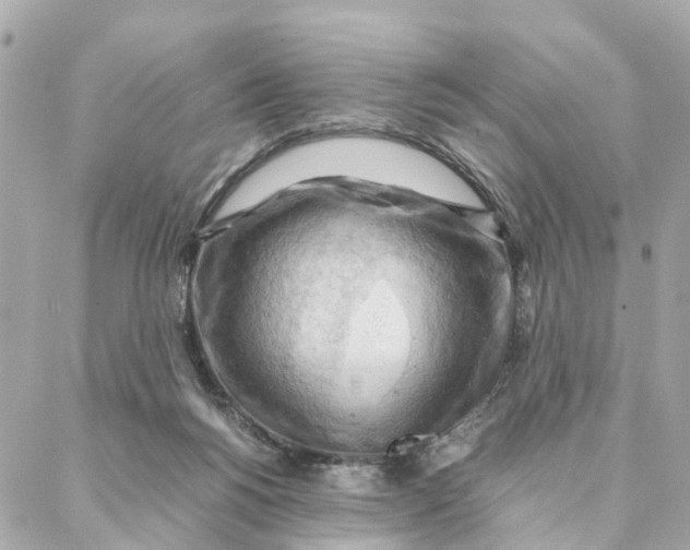 X0000088370168200706121129