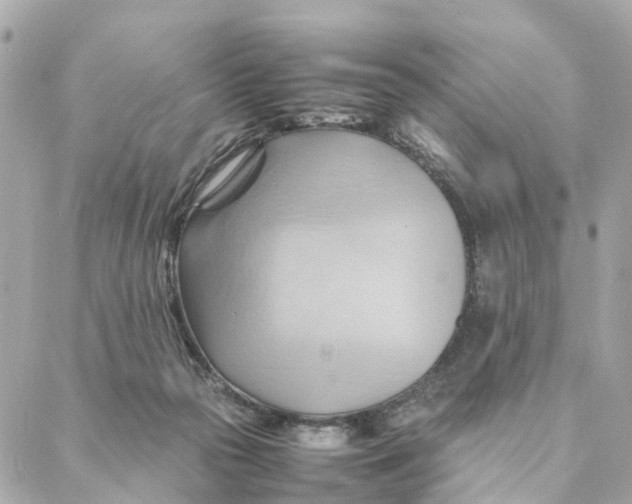 X0000088370169200706121129