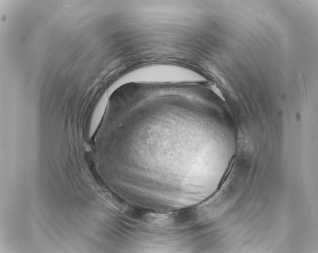 X0000088370170200706121129