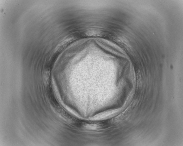 X0000088370171200706121129