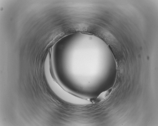 X0000088370172200706121129