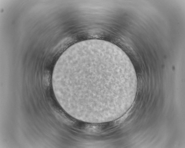 X0000088370174200706121129