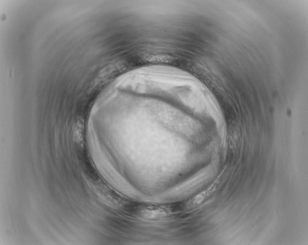 X0000088370175200706121129