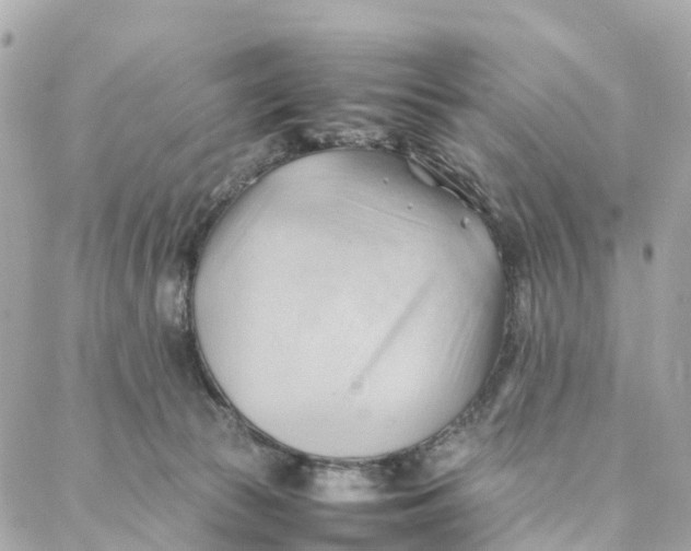 X0000088370177200706121129