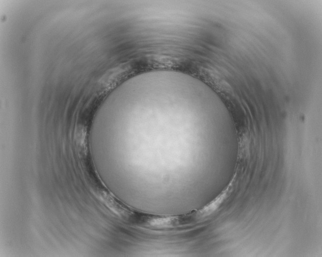 X0000088370178200706121129