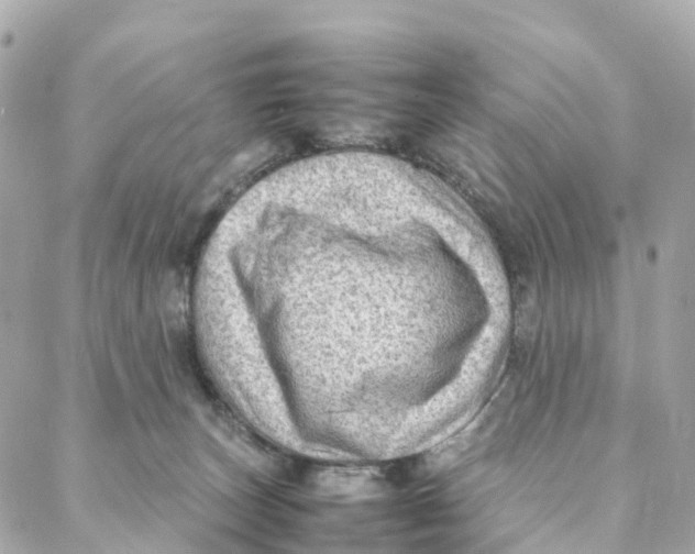 X0000088370179200706121129