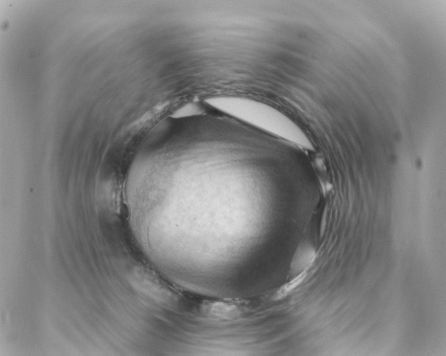 X0000088370180200706121129