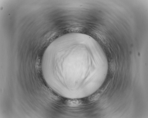 X0000088370181200706121129