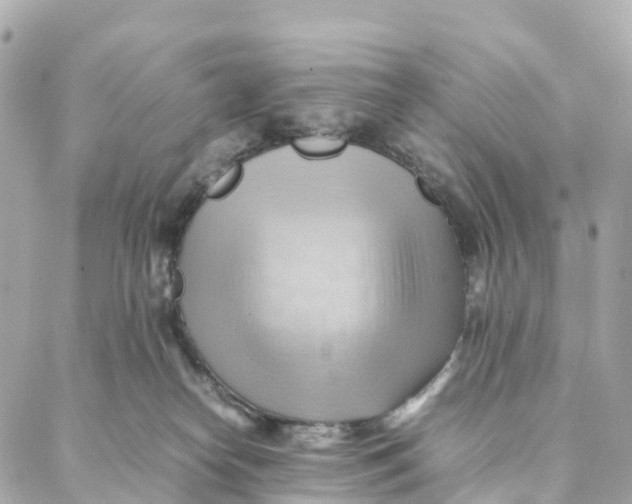 X0000088370182200706121129