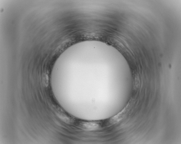 X0000088370183200706121129