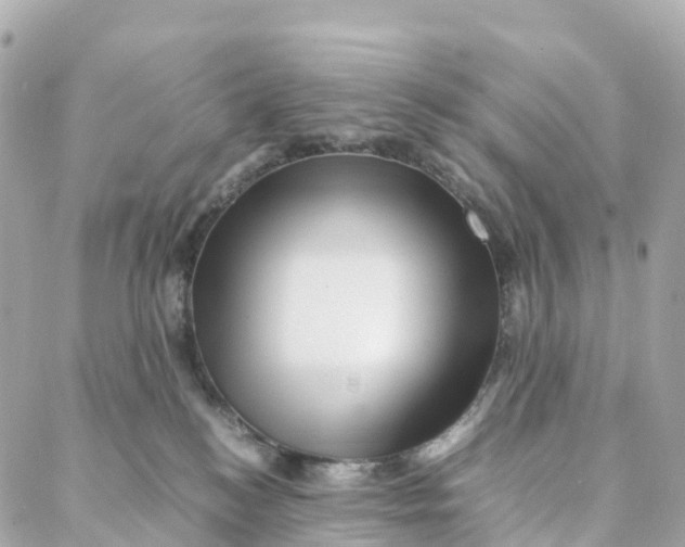 X0000088370184200706121129