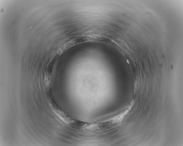 X0000088370186200706121129