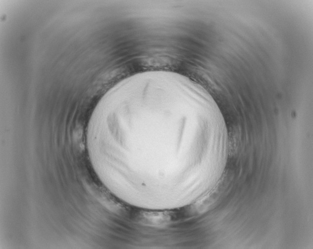 X0000088370187200706121129