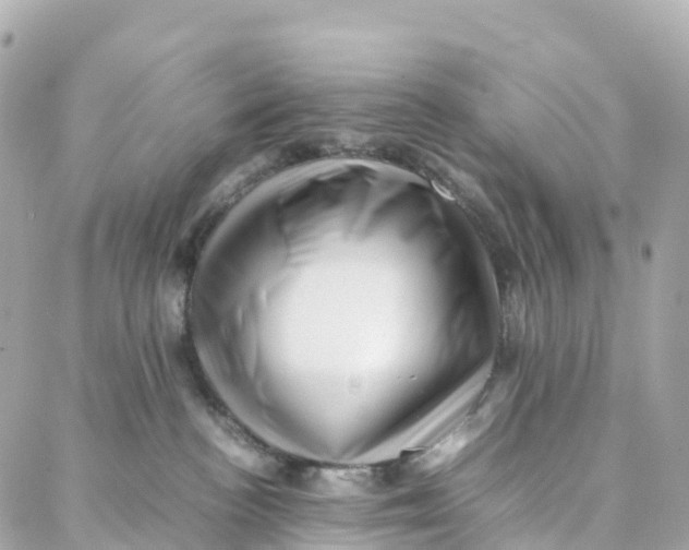 X0000088370188200706121129