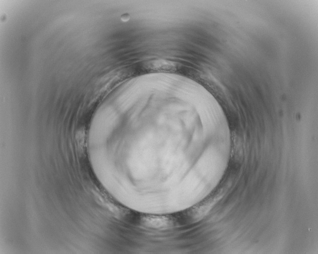 X0000088370189200706121129