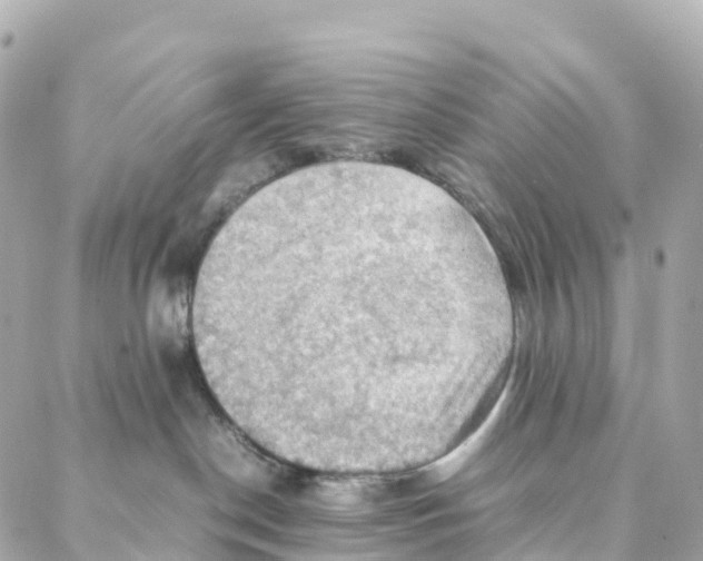 X0000088370190200706121129