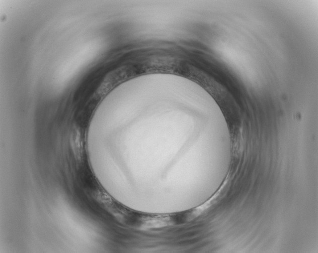 X0000088370191200706121129