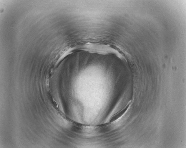 X0000088370192200706121129