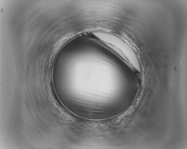 X0000088370193200706121128