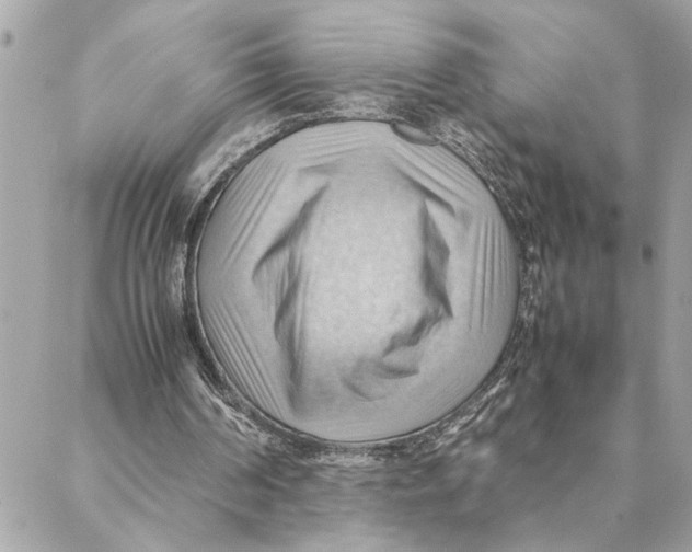 X0000088370194200706121128