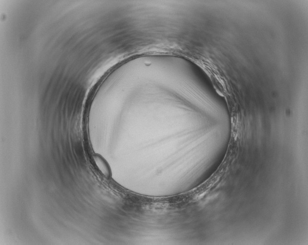 X0000088370196200706121128