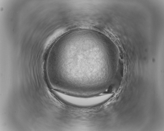 X0000088370197200706121128