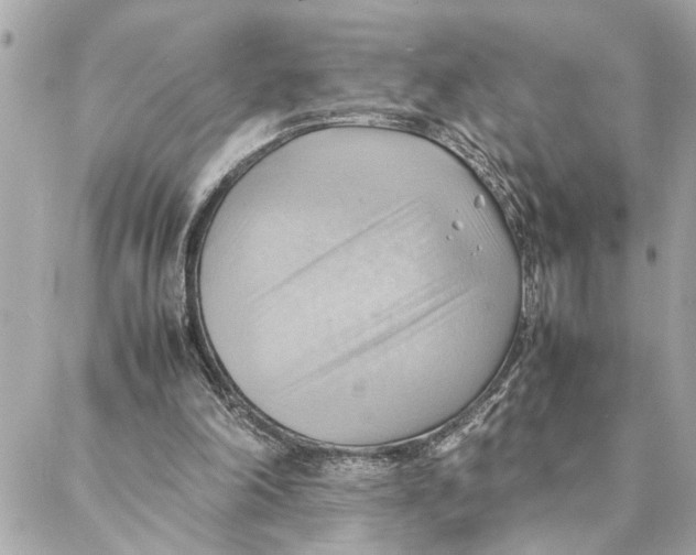 X0000088370198200706121128