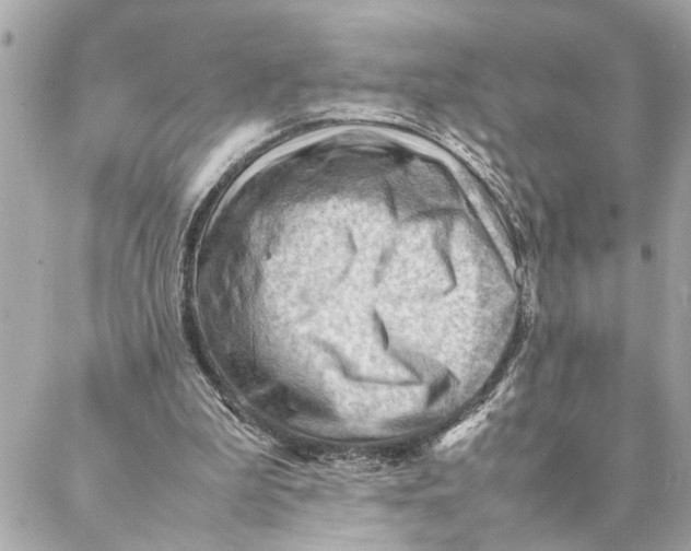 X0000088370199200706121128