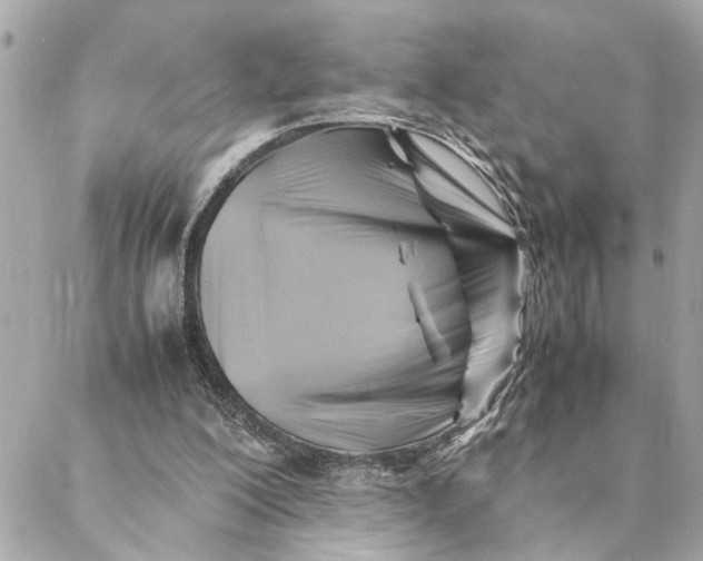 X0000088370200200706121128