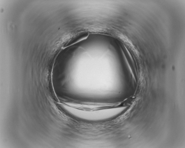 X0000088370201200706121128