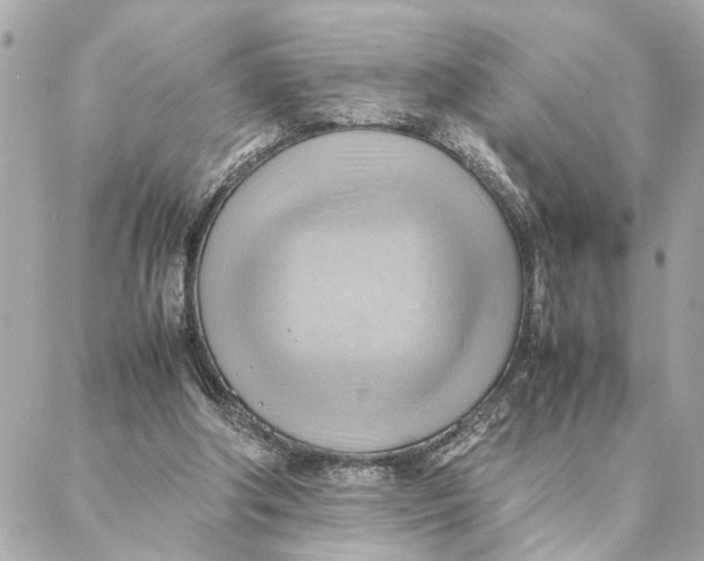 X0000088370202200706121128