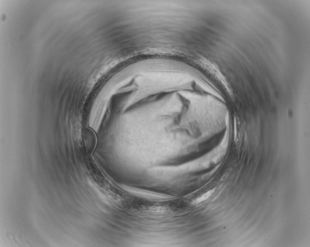 X0000088370204200706121128