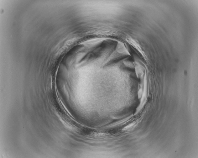 X0000088370205200706121128