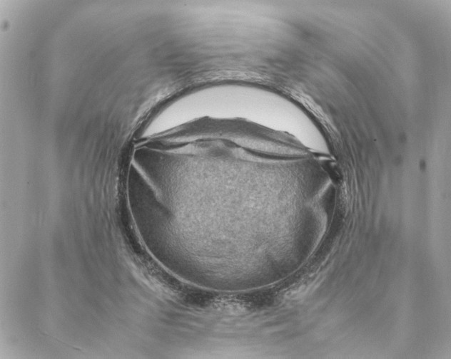 X0000088370207200706121128