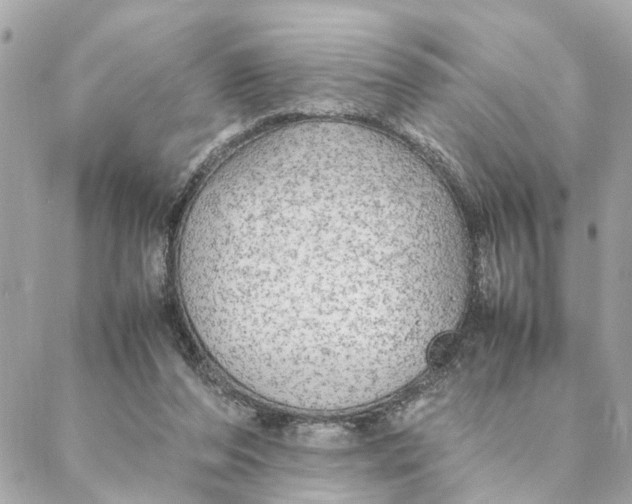 X0000088370208200706121128