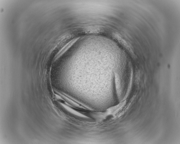 X0000088370209200706121128