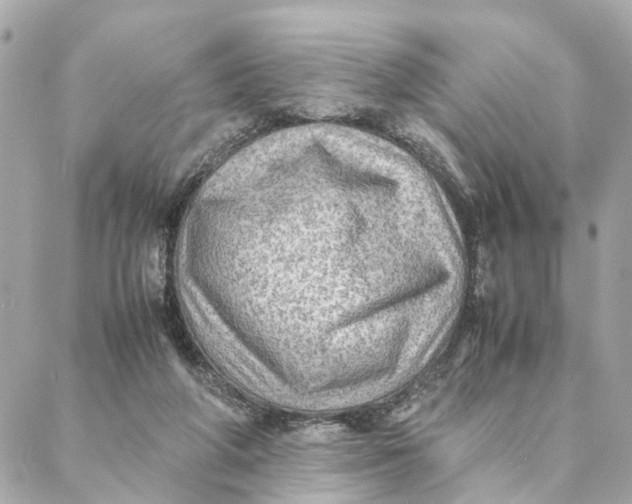 X0000088370210200706121128