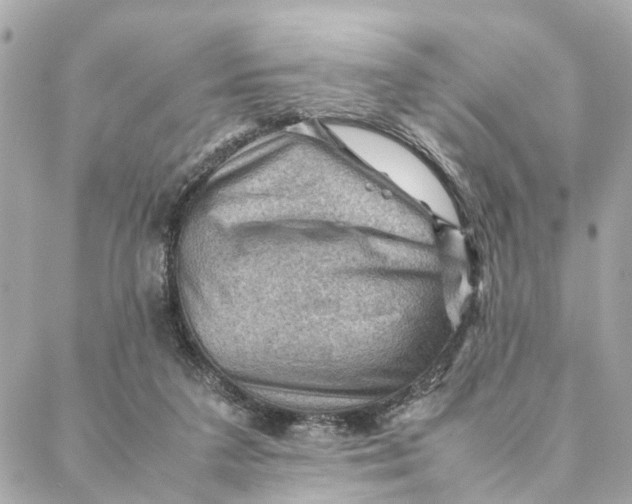 X0000088370211200706121128