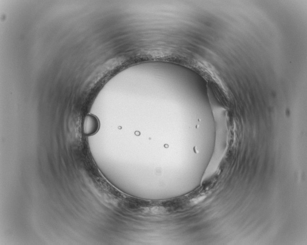 X0000088370212200706121128