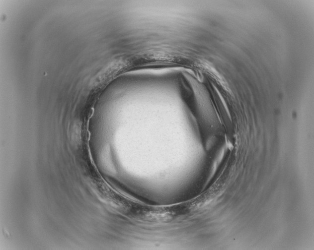 X0000088370213200706121128