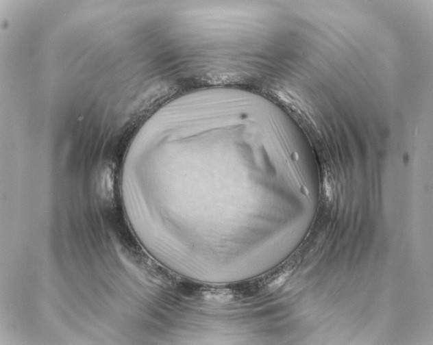 X0000088370214200706121128