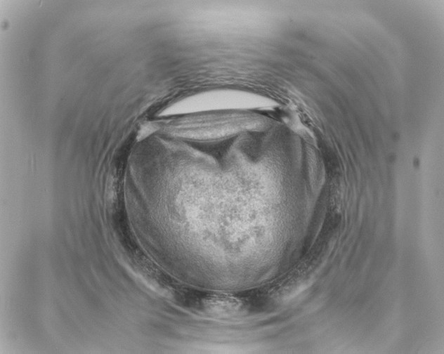 X0000088370215200706121128