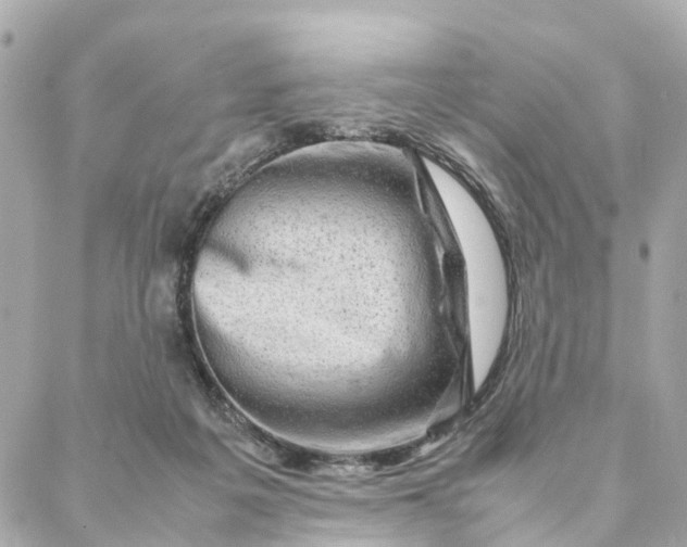 X0000088370217200706121128