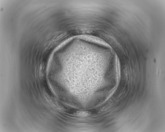 X0000088370218200706121128