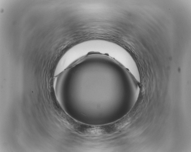 X0000088370219200706121128