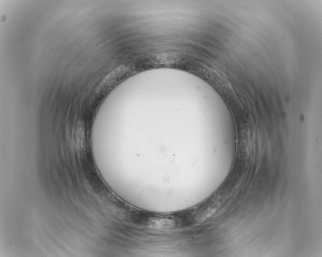 X0000088370220200706121128