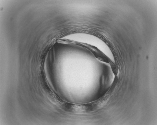 X0000088370221200706121128