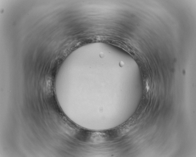 X0000088370222200706121128